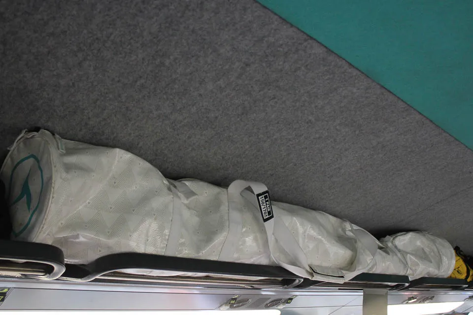 Skis on TGV