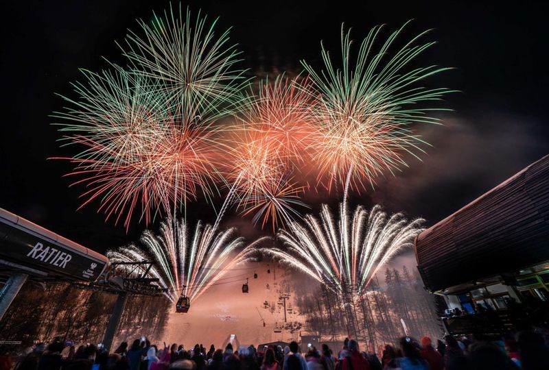 fireworks against a night sky, crowd watching