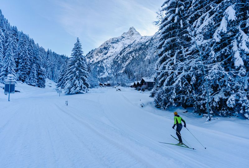 A lone cross country skier makes their way through a serene landscape on a track in the shade