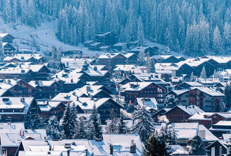 Snowy roofs and trees are shot from above