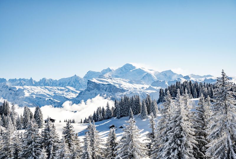 White mountains in the background sit below a blue sky, with snowy fir trees in front of shot. Snow covers ground