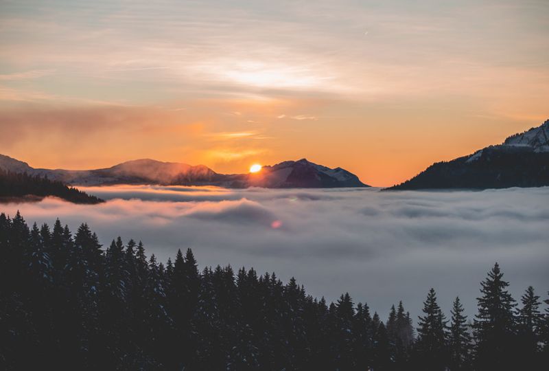 An orange sun sets behind silhouetted mountains in the distance, a valley full of clouds in front, with forest trees in the foreground. A dramatic sunset image taken at altitude
