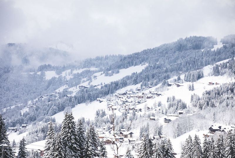 A very snowy day with ground, trees, and roofs covered in fresh snow