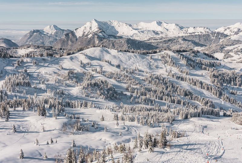 Lots of snowy trees, a vast mountainscape and tall mountains in the distance - all covered in fresh snow under a blue sky