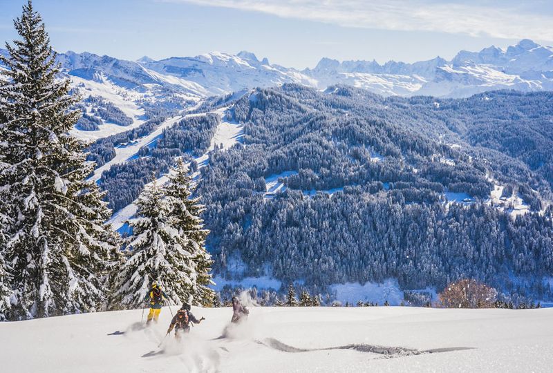 Three friends make fresh tracks on deep, fresh snow surrounded by snow-laden trees, high mountains in the distance