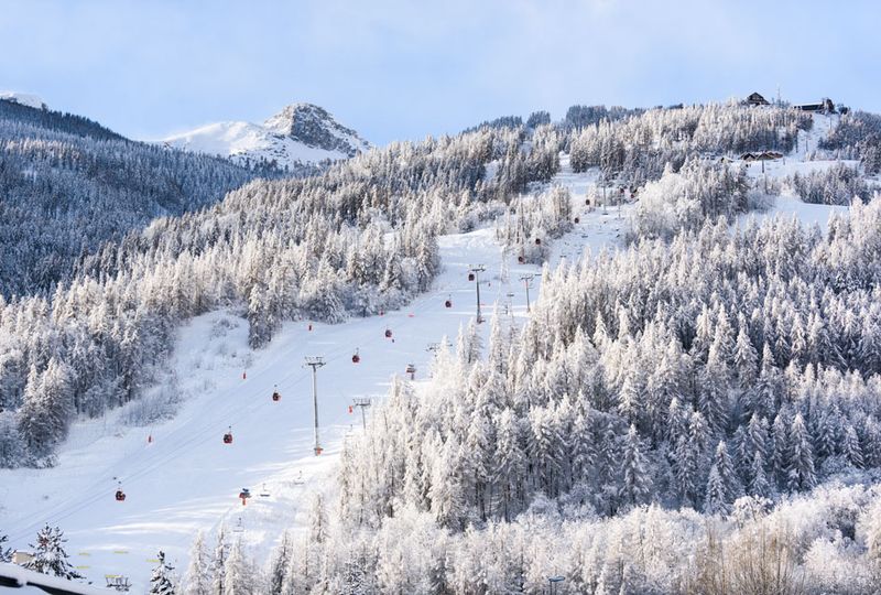 Snowy trees, a cable car lift line and ski run pictured from above