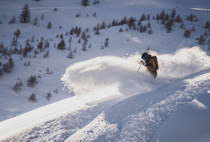 A skier sprays powder skiing off piste