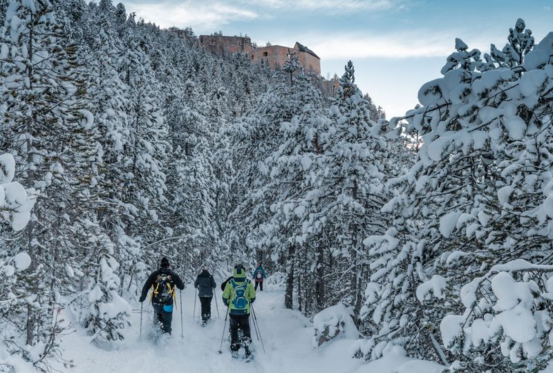 snowshoers in the snowy woods